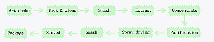 product-750-148 Artichoke Extract Powder Flow Chart