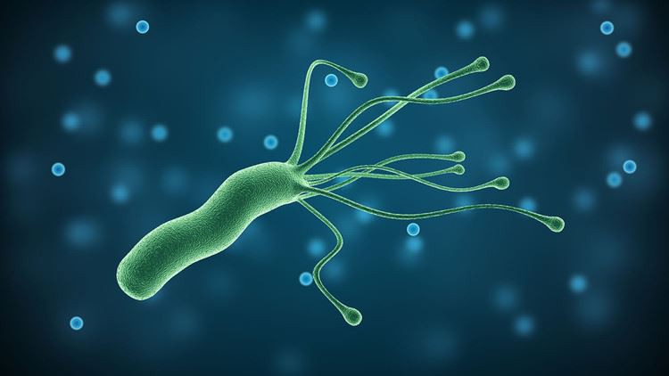 Može li Helicobacter Pylori izazvati smrt?