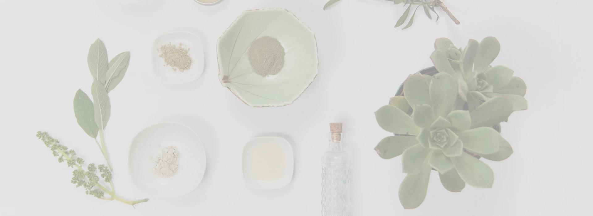 Shaanxi  Zdravlje  Priroda  Industrija  Co.,  doo